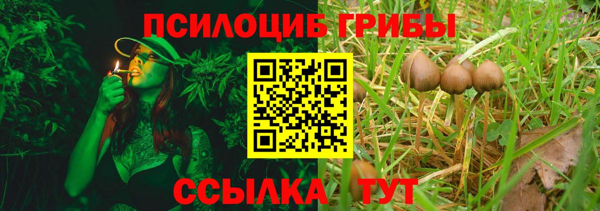 Псилоцибиновые грибы GOLDEN TEACHER Можайск